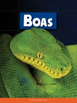 Boas - ebook